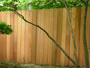 Деревянный забор сплошной 15 метров
