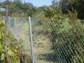 Забор из сетки рабицы в натяг 100 метров